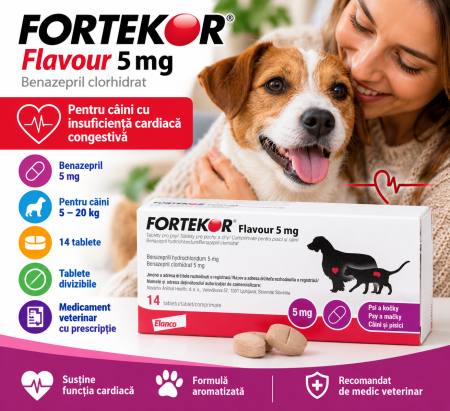 NUTRACEUTICE - Fortekor Flavour Dog 5 mg 5–20 kg, 14 tablete – Benazepril pentru câini