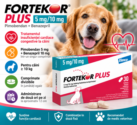 SUPORT CARDIAC - Fortekor Plus 5/10 mg, 30 tablete – Pimobendan + Benazepril pentru câini