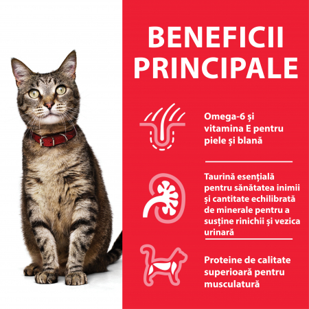 Hill’s SP Adult  hrana pentru pisici cu pui 300 g [4]