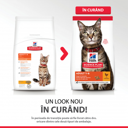 Hill’s SP Adult  hrana pentru pisici cu pui 300 g [5]