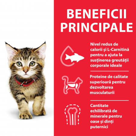 Hill’s SP Kitten  hrana pentru pisici cu ton 1.5 kg [4]