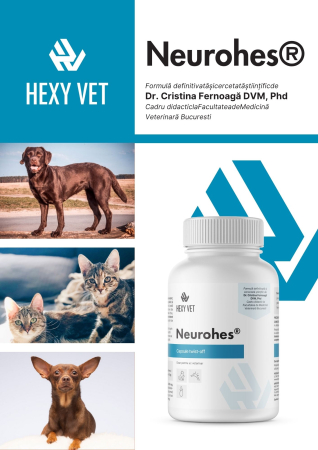 NeuroHes pentru câini și pisici – Supliment neurologic veterinar pentru susținerea sistemului nervos [3]