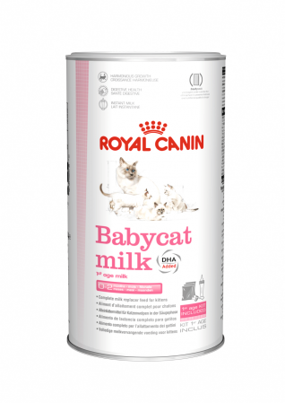 PENTRU PISICI - Royal Canin BabyCat Milk inlocuitor lapte matern pisica, 300 g