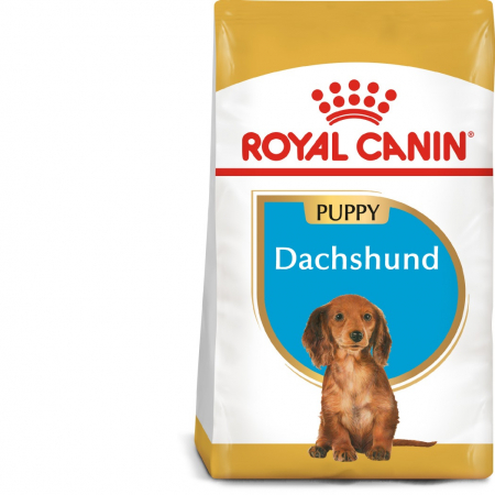 Royal Canin Dachshund Puppy hrana uscata caine junior Teckel, 1.5 kg [0]