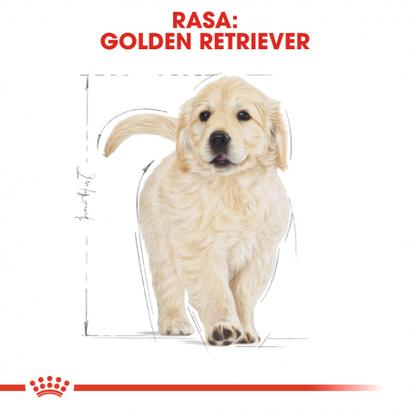 Royal Canin Golden Retriever Puppy hrana uscata caine junior, 1 kg [4]