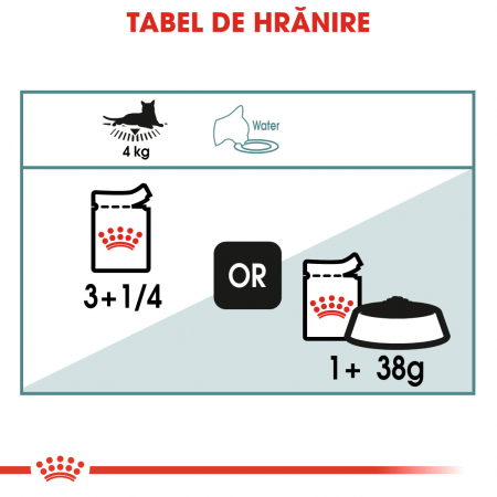 Royal Canin Hairball Care Adult hrana umeda pisica pentru controlul ghemurilor de blana, 12 x 85 g [4]