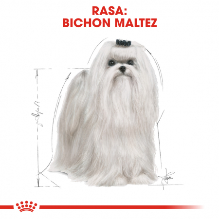 Royal Canin Maltese Adult hrana uscata caine, 500 g [1]