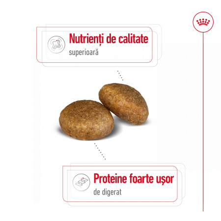 15 kg Royal Canin Maxi Adult hrana uscata caine [2]