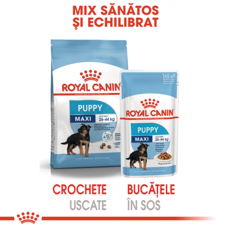 10 x 140g Royal Canin Maxi Puppy hrana umeda caine junior [5]