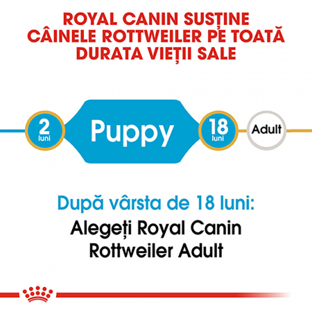12 kg Royal Canin Rottweiler Puppy hrana uscata caine junior [3]