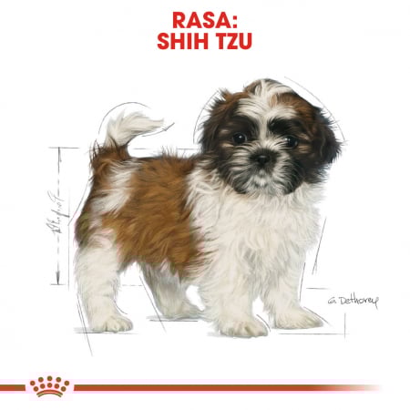 1.5 kg Royal Canin Shih Tzu Puppy hrana uscata caine junior [6]