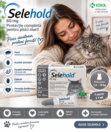 SELEHOLD - Selehold 60 mg Pisici 7,6–10 kg, soluție spot-on, 3 pipete x 1 ml