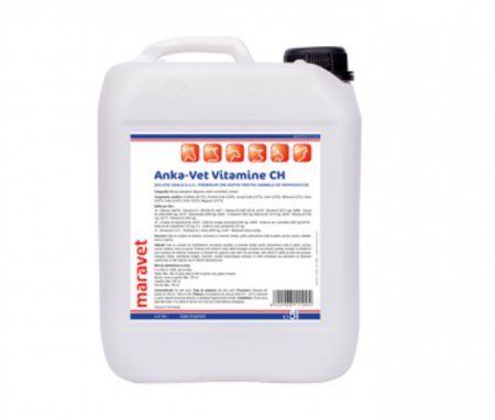 PENTRU PĂSĂRI - Supliment vitamino-mineral pentru animale Anka Vet Vitamin CH 5 L