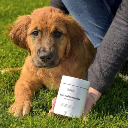 Tipaw 8-in-1 Multivitamins – Supliment multivitaminic complet pentru câini, 60 de comprimate masticabile moi, Complex 8-în-1 cu vitamine, minerale și nutrienți esențiali pentru energie, imunitate și s [5]