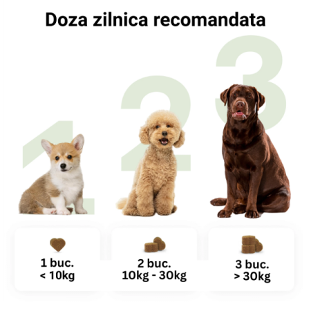 Tipaw 8-in-1 Multivitamins – Supliment multivitaminic complet pentru câini, 60 de comprimate masticabile moi, Complex 8-în-1 cu vitamine, minerale și nutrienți esențiali pentru energie, imunitate și s [6]