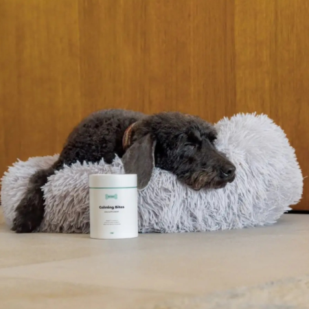 Tipaw Calming Supplement–Supliment calmant pentru câini stresați și anxioși, 60 de comprimate masticabile moi, Soft chews pentru reducerea stresului, anxietății și comportamentelor nedorite la câini [6]