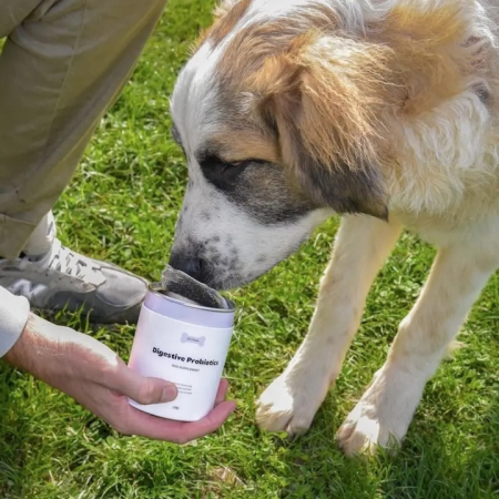 Tipaw Digestive Probiotics – Supliment pentru câini cu probleme digestive, 60 comprimate masticabile moi [6]
