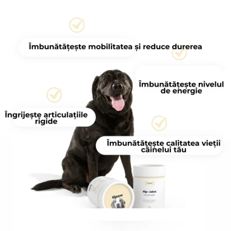 Tipaw Hip & Joint pentru câini – Supliment articulații cu glucozamină și MSM, 60 comprimate masticabile moi [3]