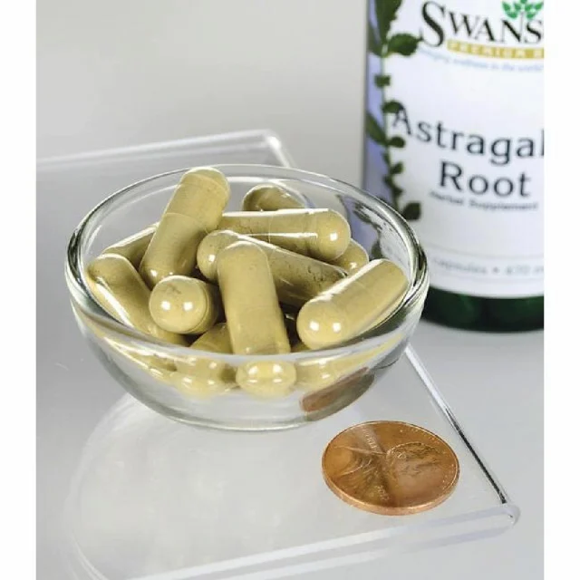 Astragalus Root, 100 de capsule [2]