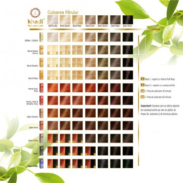 Henna Blond Deschis Vopsea de Par Khadi [3]