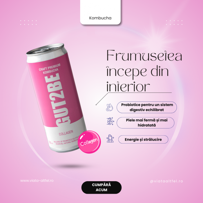 Kombucha Colagen - Set de 12x330ml [2]