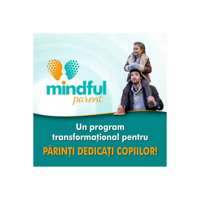 Mindful Parent - Curs 8 saptamani, grup