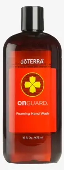 Sï¿½ï¿½pun spumant pentru mï¿½ï¿½ini On Guard 473ml [1]