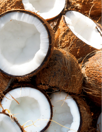 Balsam de par cu cocos si shikakai, 200ml - Khadi [2]