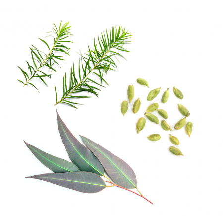 Stick cu Uleiuri esentiale pentru respiratie usoara doTerra Breathe [1]