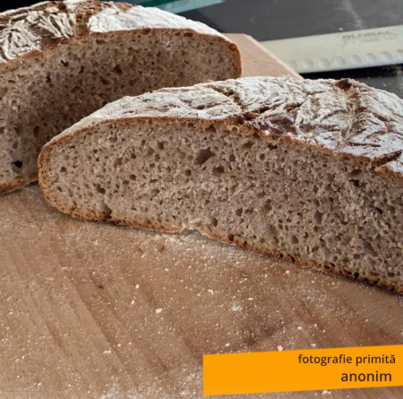 Făină integrală ecologică Grâu - 5 kg [2]