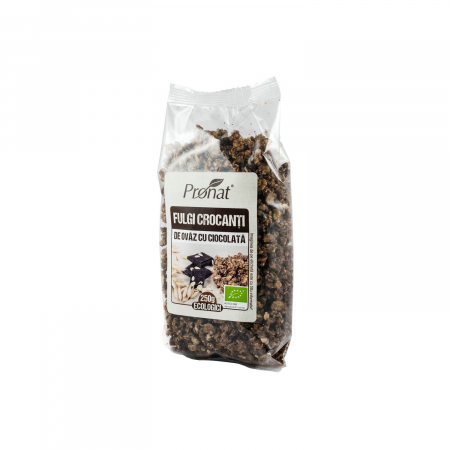 Fulgi crocanti BIO de ovaz cu ciocolata 250g [1]