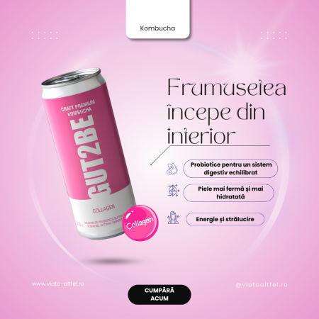 Kombucha Colagen - Set de 12x330ml [1]