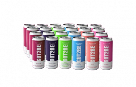 Alimente - Kombucha Mix - Set de 12x330ml