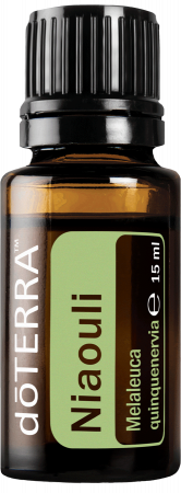 Aromaterapie - Ulei esential de niaouli (melaleuca quinquenervia) 15ml