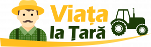 www.viata-la-tara.ro