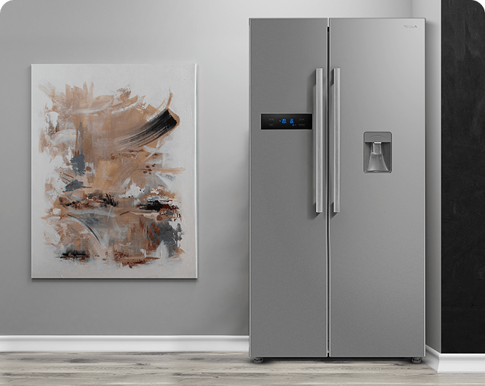 Frigidere side-by-side - RB5201FMXE