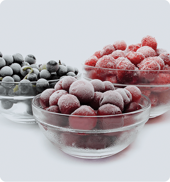 Congelatoare verticale - RU2700FM