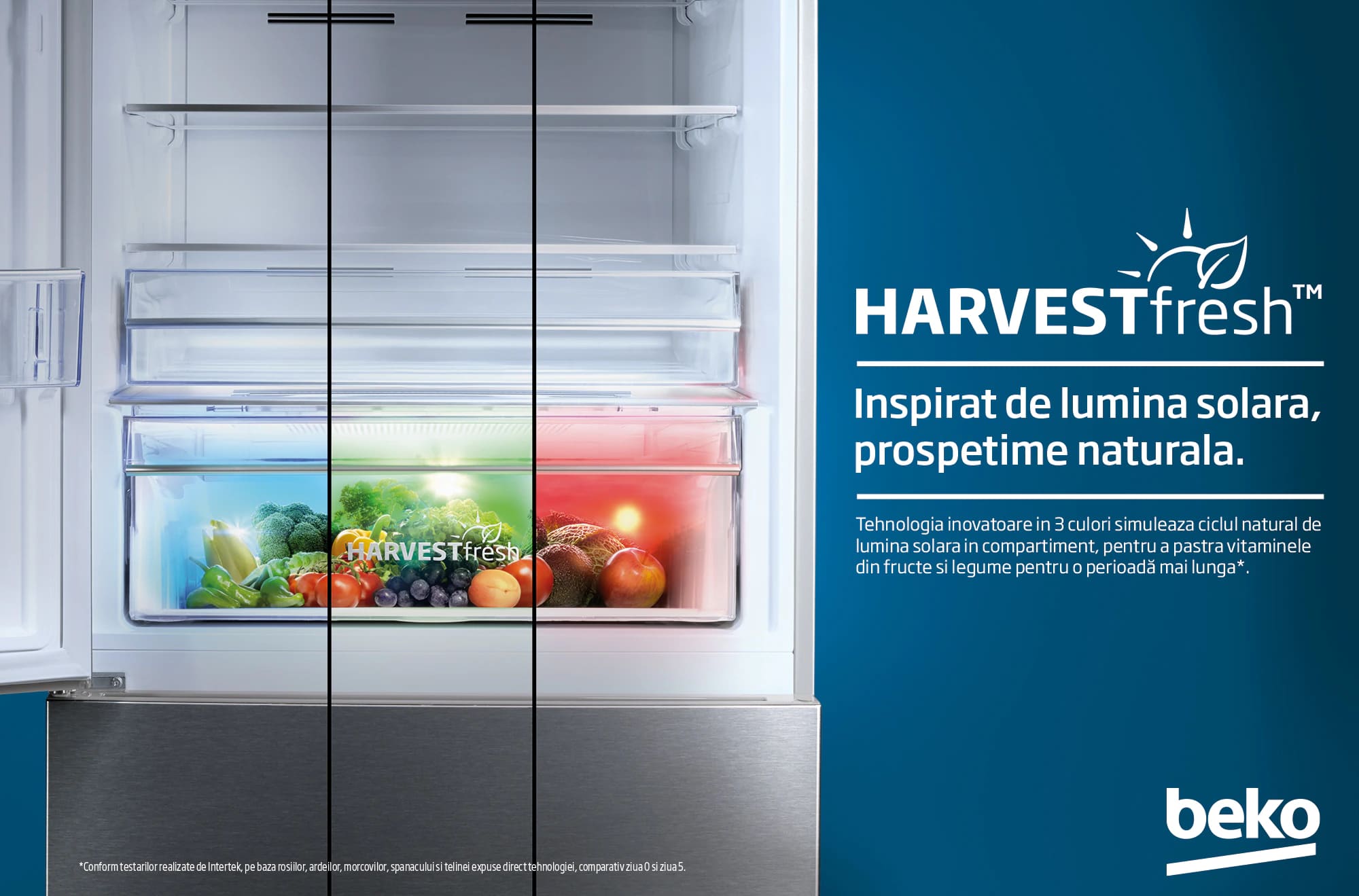 Frigider cu doua usi Beko RDNE650E40ZXBRN