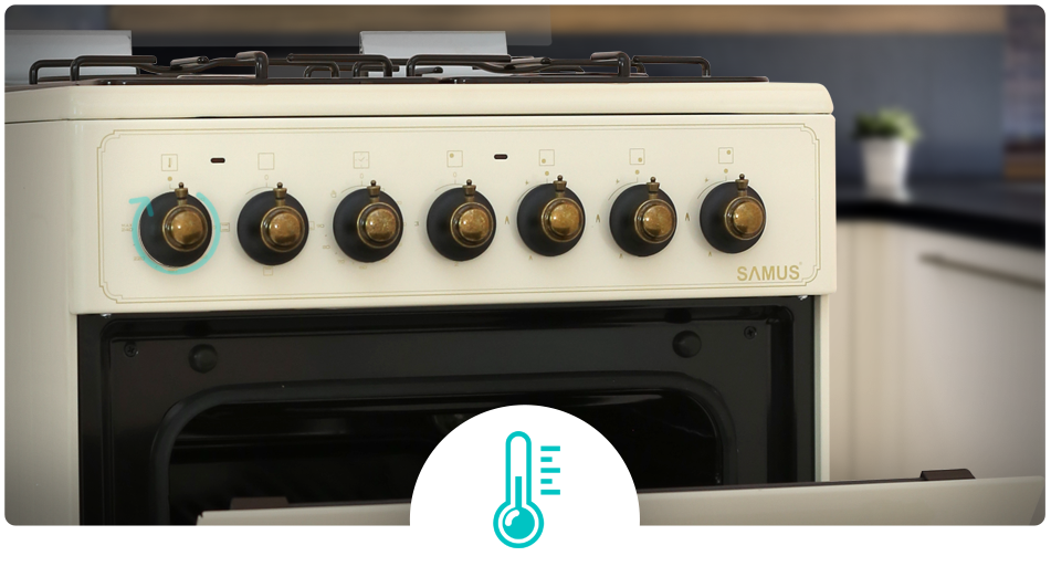 Aragaz Rustic Samus SR550EL3C