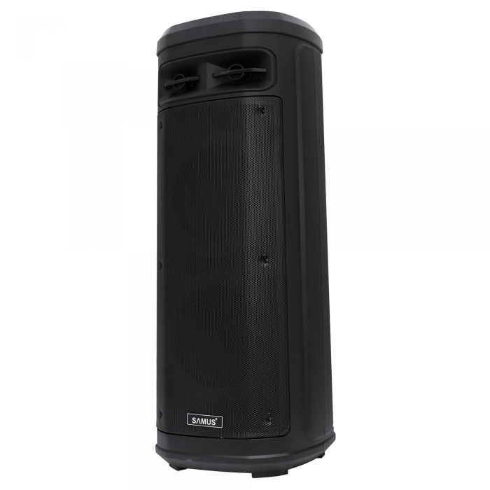 Boxă activă portabilă cu Bluetooth, 2×10” (25 cm), 160W RMS, microfon wireless, telecomandă, acumulator 12V 7.2Ah, USB/TF/AUX/FM, funcție înregistrare [2]