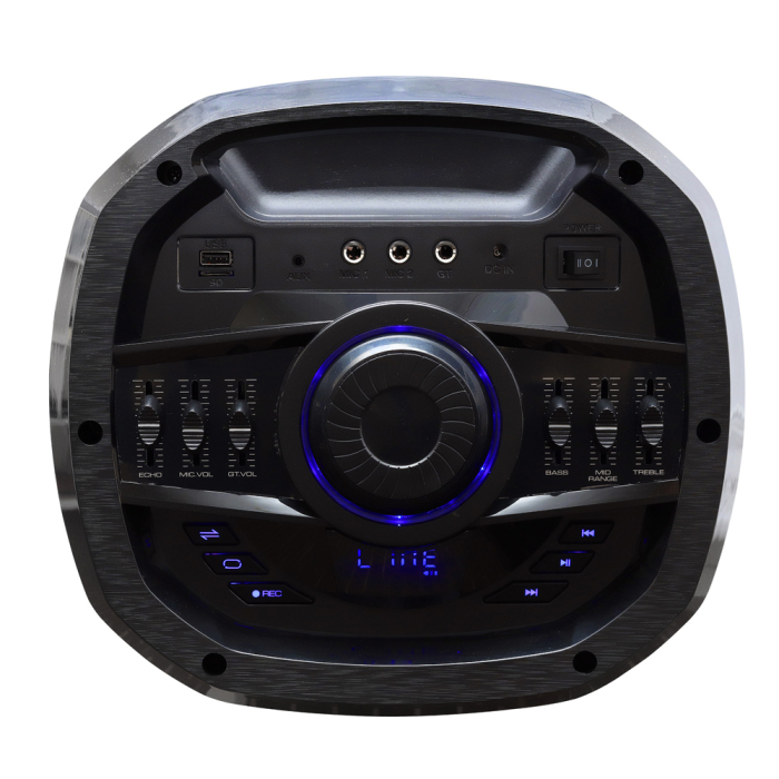 Boxă activă portabilă cu Bluetooth, 2×10” (25 cm), 160W RMS, microfon wireless, telecomandă, acumulator 12V 7.2Ah, USB/TF/AUX/FM, funcție înregistrare [5]