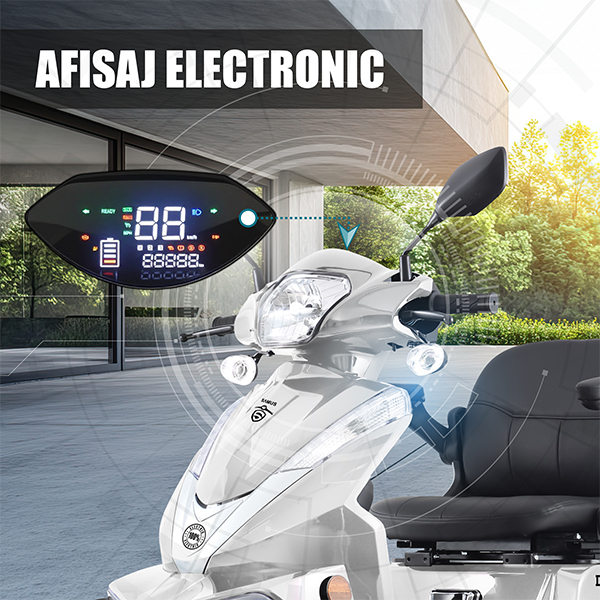 Cvadriciclu electric Samus Dallas-4R1-10T1000-60V20-Silver [10]