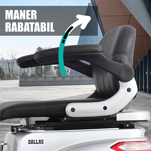 Cvadriciclu electric Samus Dallas-4R1-10T1000-60V20-Silver [12]