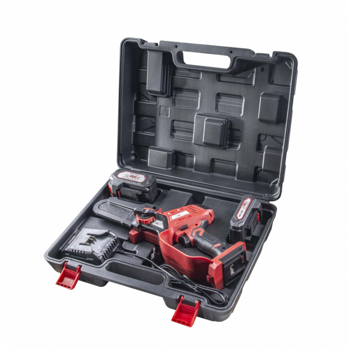 R20 fierastrau electric de gradina 2Ah&4Ah RDP-SBGP20 Set [2]