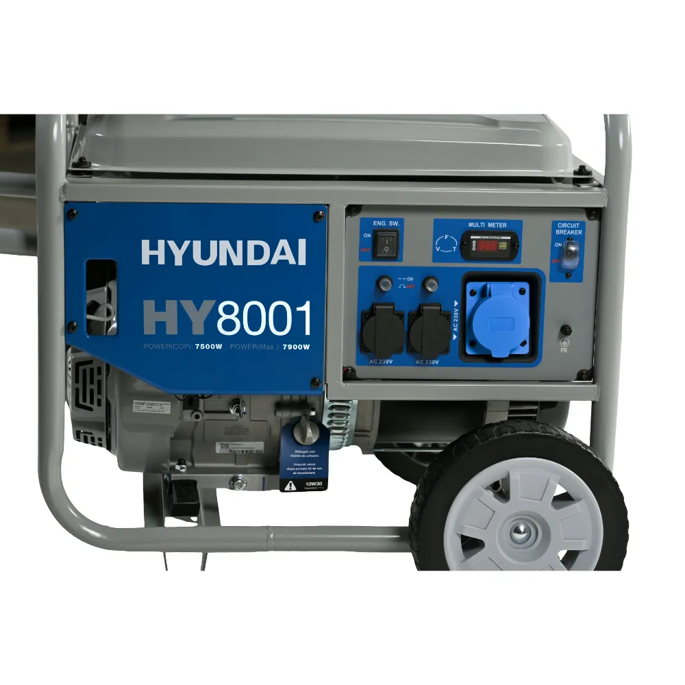 Generator de curent monofazic 7,5 kW HYUNDAI HY8001 [4]