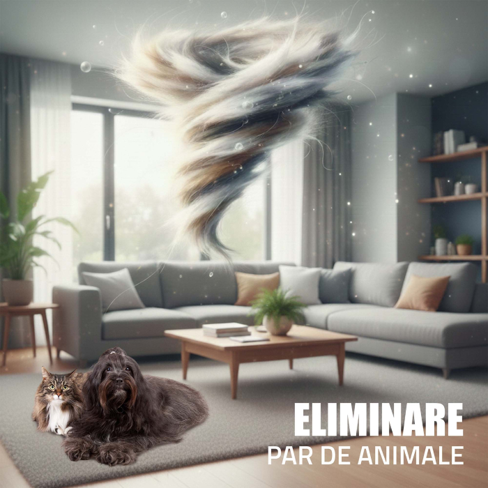 Mașină de spălat rufe Samus WSADI-10145DS, 10 kg, 1400 rpm, Motor Inverter, 15 programe, abur, afișaj electronic, clasa A, gri închis [21]