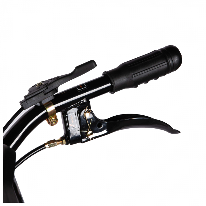 Motocultor DETOOLZ DZ-M124, motor benzina 4 timpi, putere 7 CP, 212 CC, adancime de lucru 29 cm, latime de lucru 90 cm, plug, adaptor, roti metalice, DZ-M124 [12]