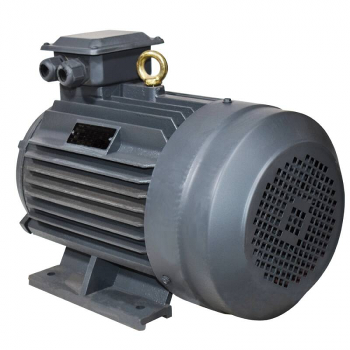 Motor electric 11KW 3000PM/ 380V (MT007.1) [1]