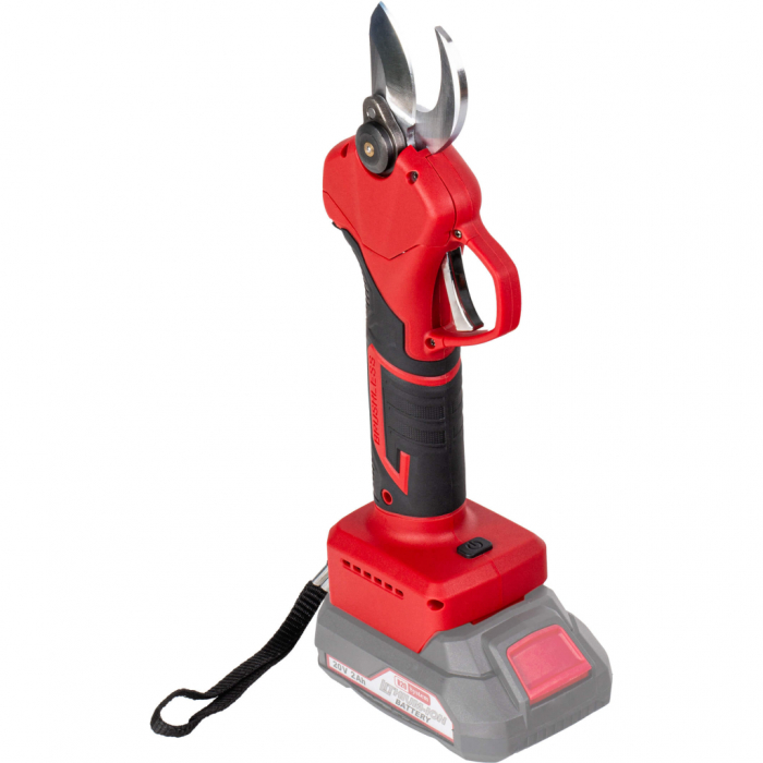 Pachet Foarfecă electrică 25mm LCD Solo RDP-TPSH20 R20 + Pulverizator Vermorel 16L, 3 bar, 2Ah [5]