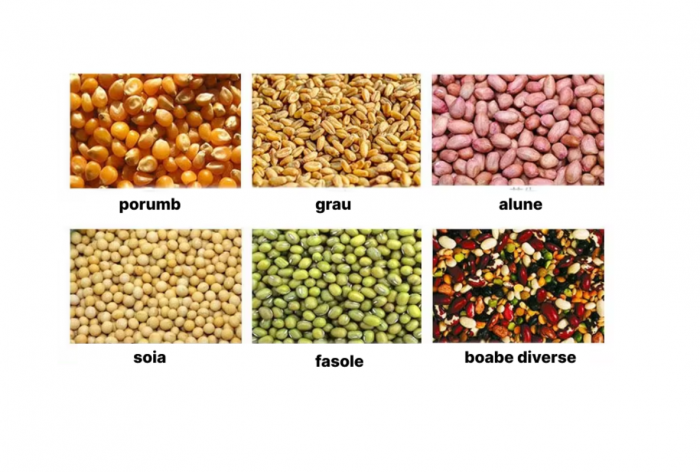 https://gomagcdn.ro/domains/tehno-ms.com/files/product/original/plantator-rasaduri-de-legume-simplu-inox-1-2-kg-919604.png [2]
